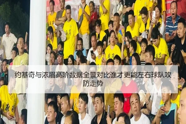 约基奇与浓眉高阶数据全景对比谁才更能左右球队攻防走势 - kaiyun